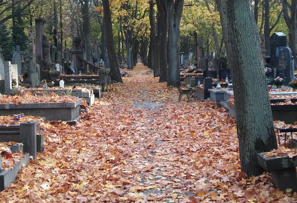 Cmentarz Powazki 2018